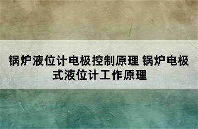 锅炉液位计电极控制原理 锅炉电极式液位计工作原理